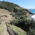 Panorama to illustrate dating in byron bay