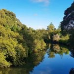 Panorama to illustrate dating in taree