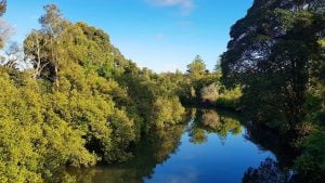 Panorama to illustrate dating in taree