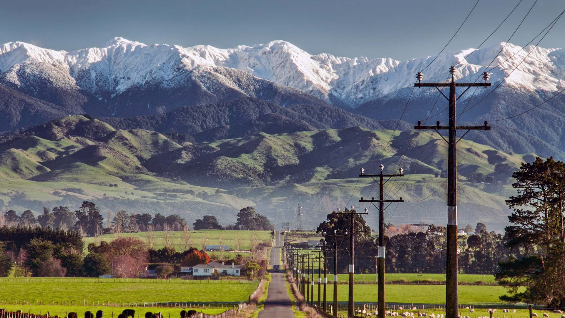 Panorama to illustrate dating in new zealand