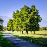 Panorama to illustrate dating in cranbourne