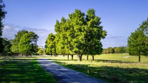 Panorama to illustrate dating in cranbourne