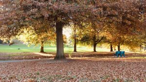 Panorama to illustrate dating in warragul