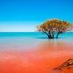 Panorama to illustrate dating in broome