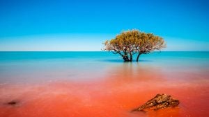 Panorama to illustrate dating in broome