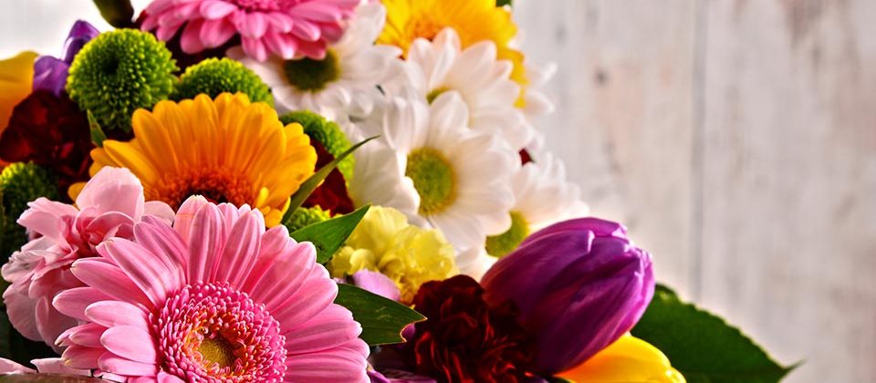 Flowers Bloom & Wild